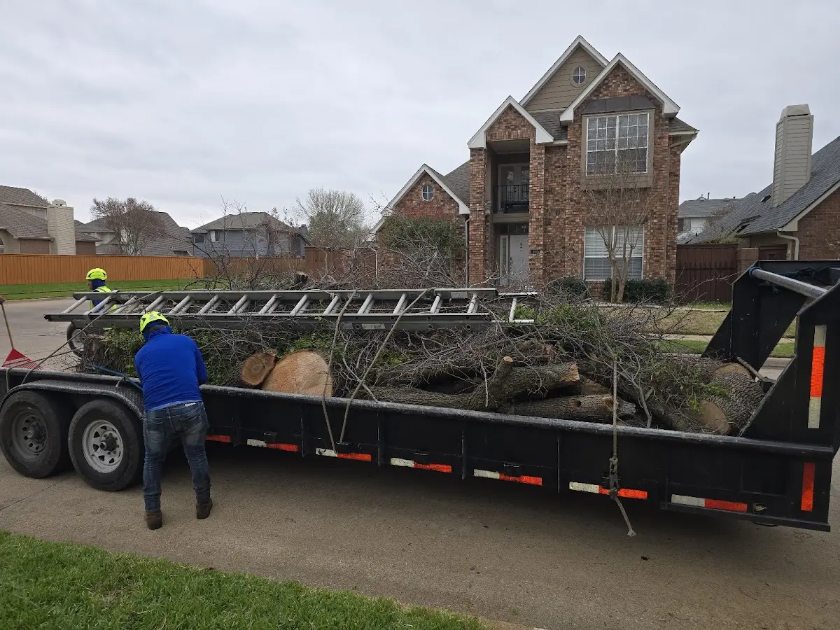 Expert Tree Fertilization with proper safety equipment in O Brien